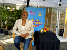 crash video productions